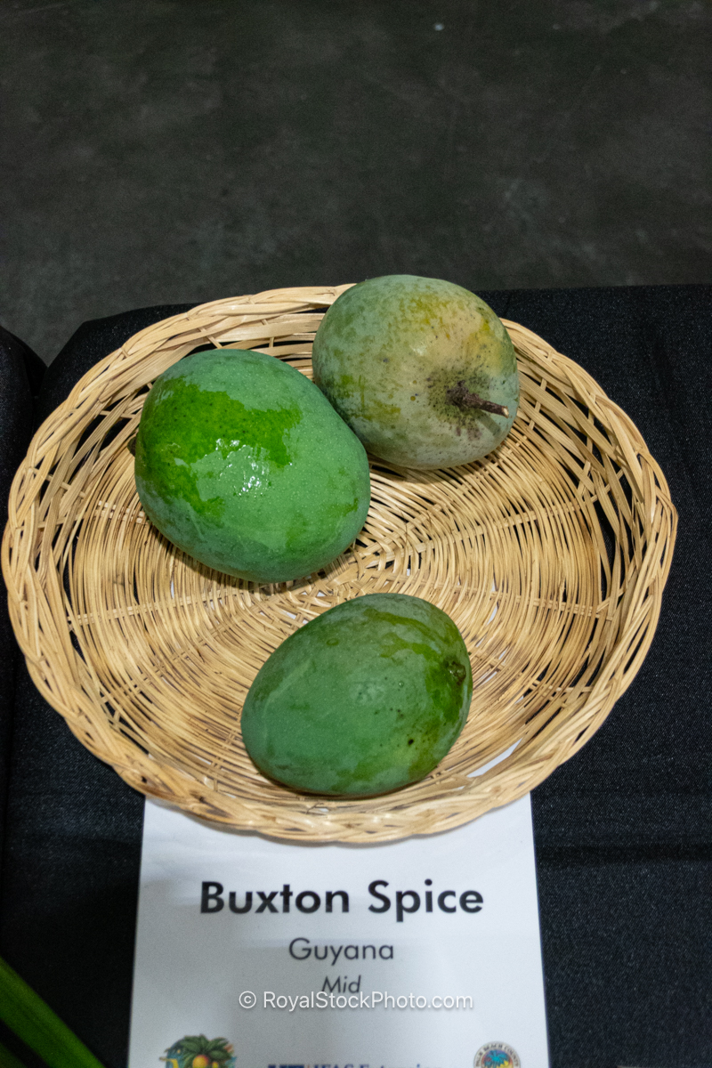 Buxton Spice Mango Buxton Spice mango fruit