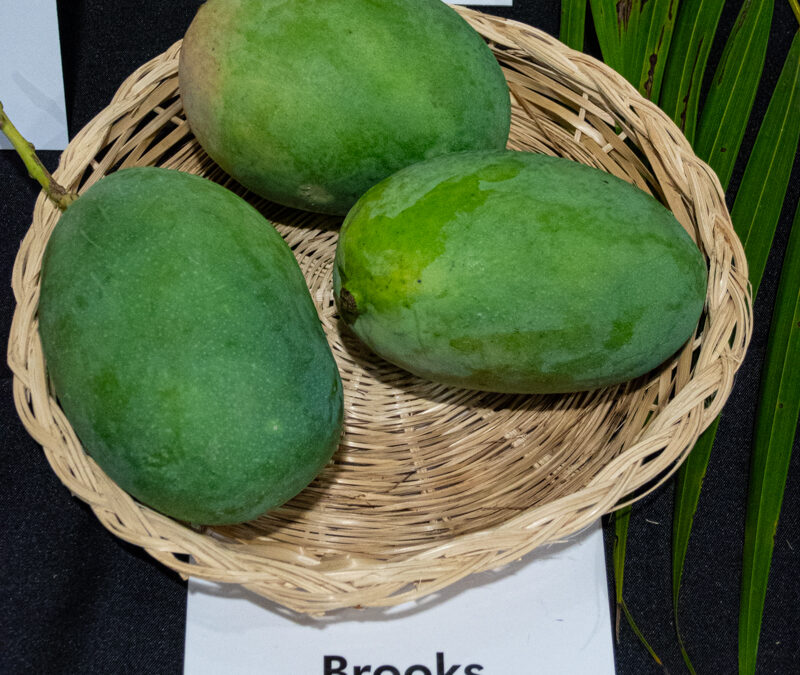 Brooks