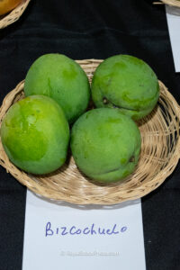 Bizcochuelo mango fruit