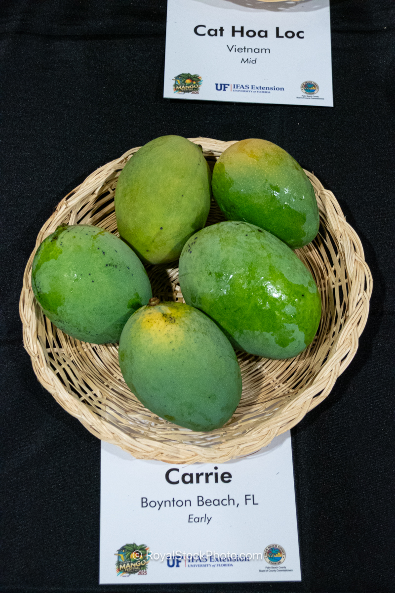 Carrie mango fruit