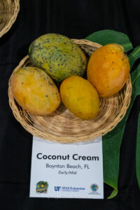Coconut Cream mango fruit