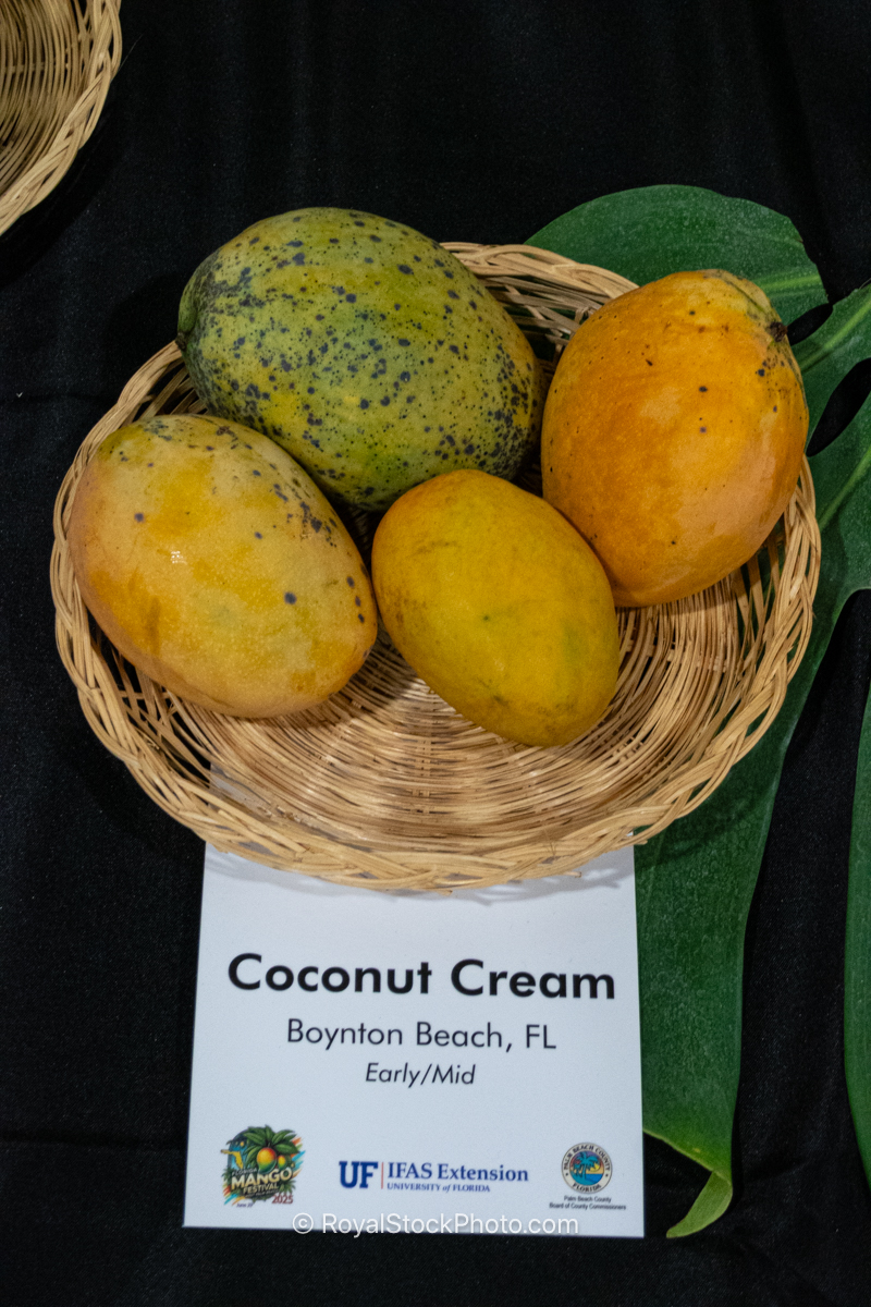 Coconut Cream mango fruit