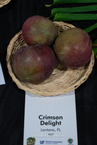 Crimson Delight mango fruit