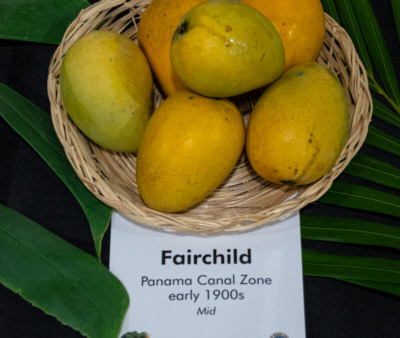 Fairchild