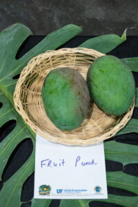 Fruit Punch mango fruit