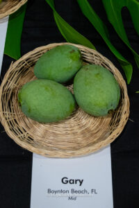 Gary mango fruit