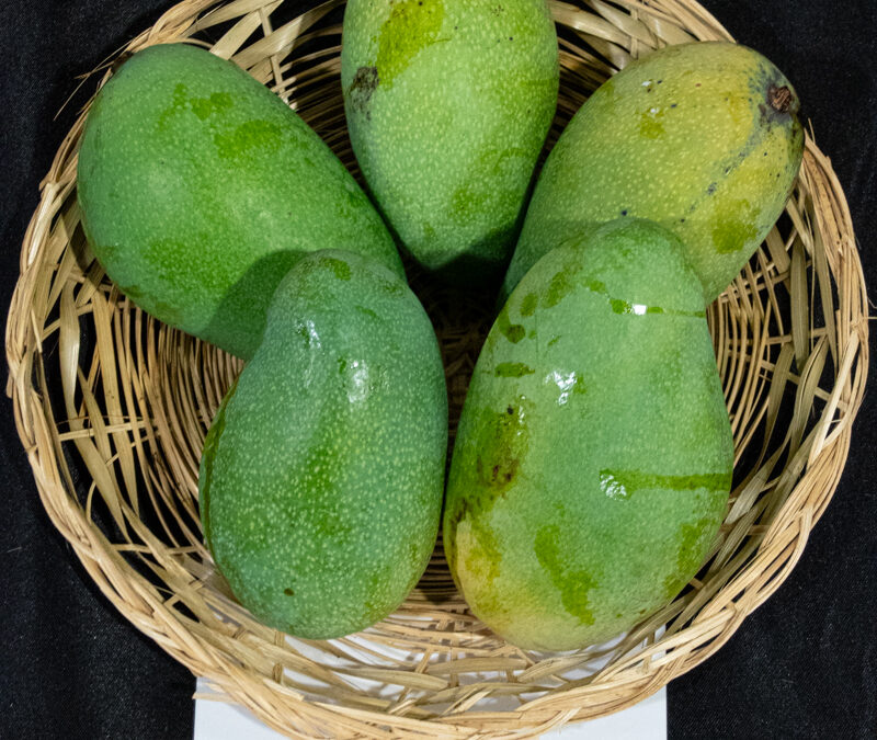 Harumanis