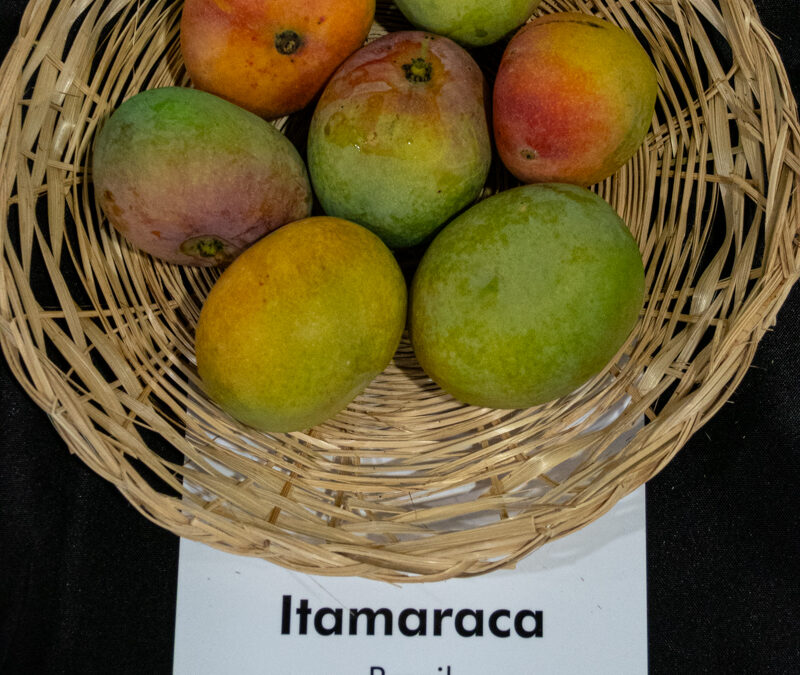 Itamaracá