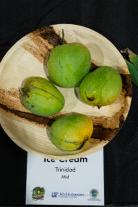Ice Cream mango fruit