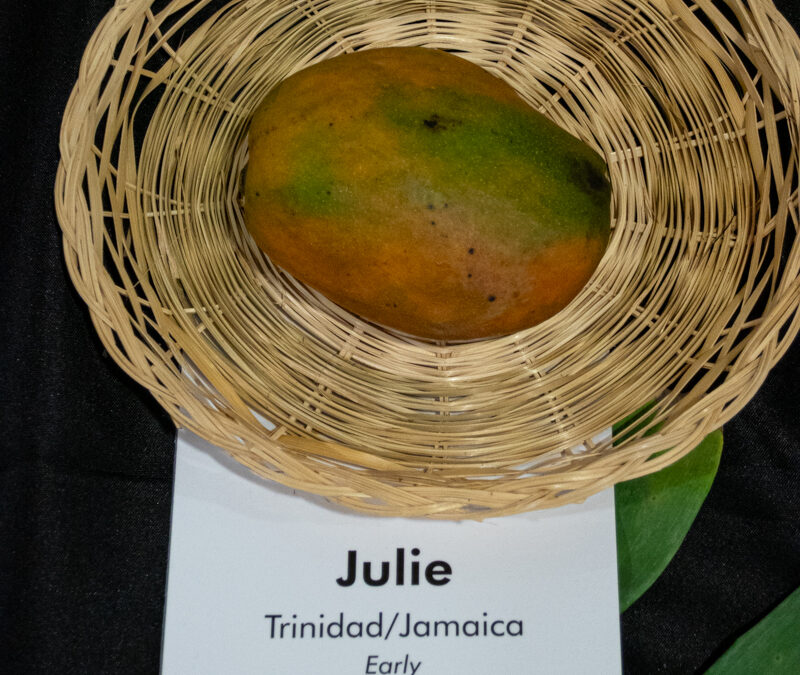 Julie