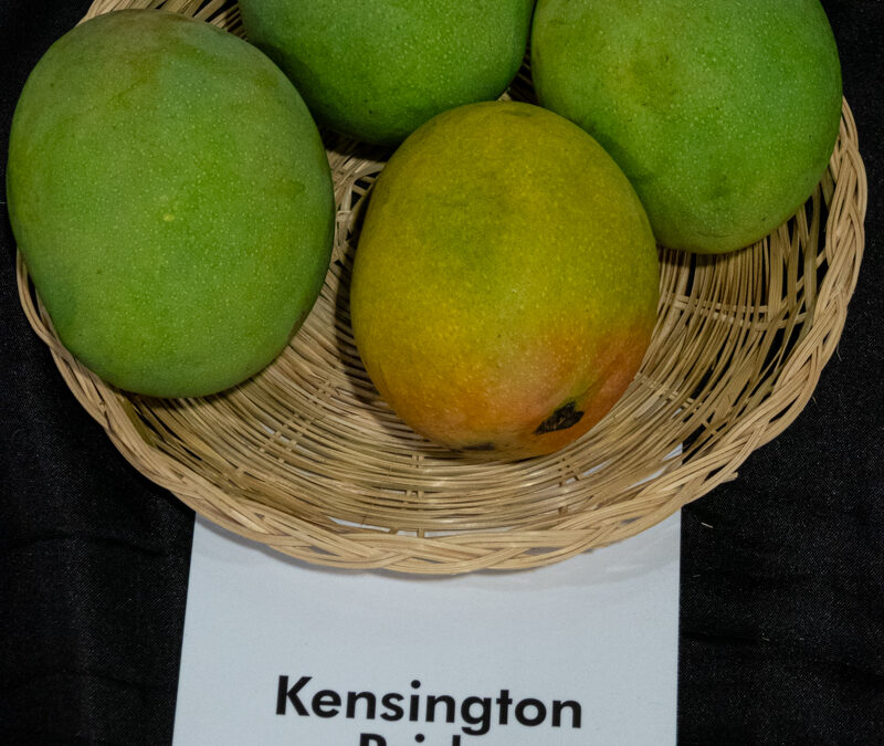 Kensington Pride