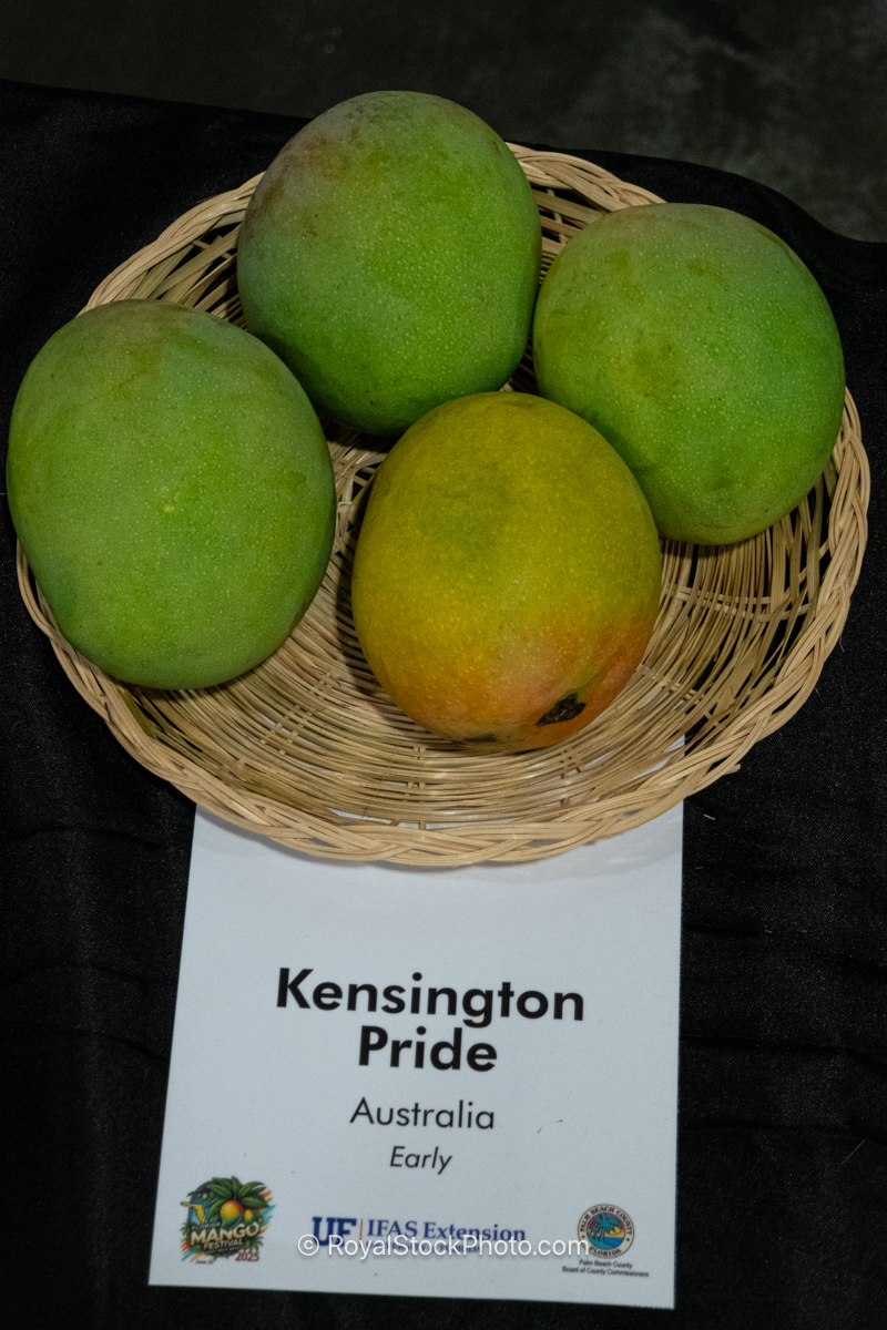Kensington Pride mango fruit