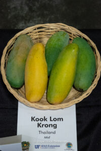 Kook Lom Krong mango fruit