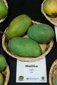 Mallika mango fruit