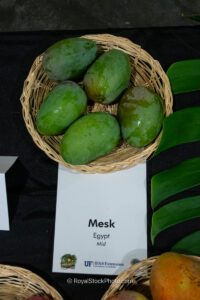 Mesk mango fruit