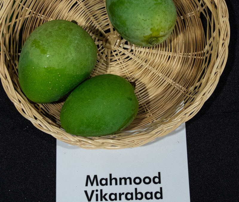 Mahmood Vikarabad