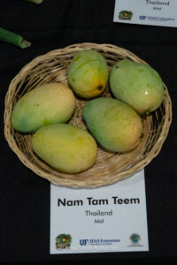 Nam Tam Teem mango fruit