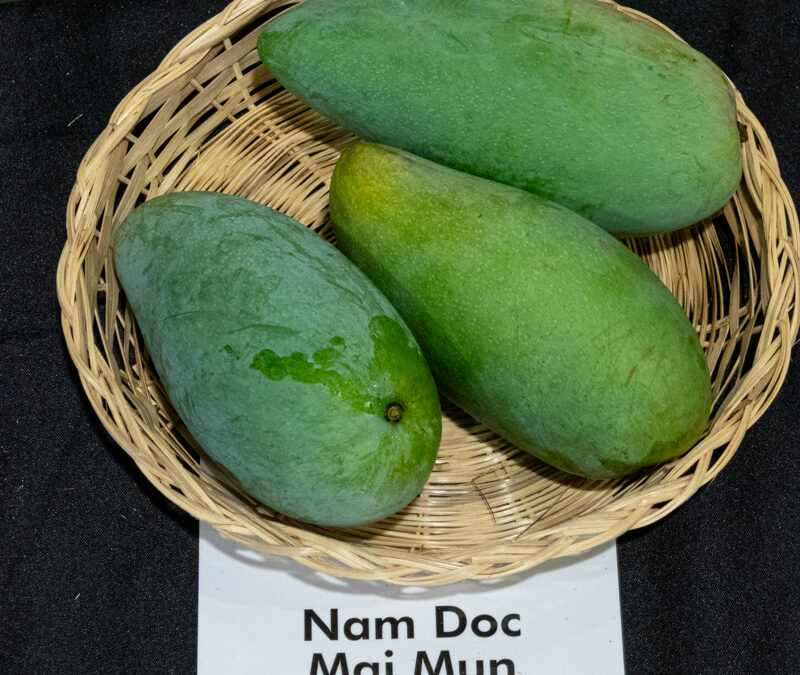 Nam Doc Mai Mun