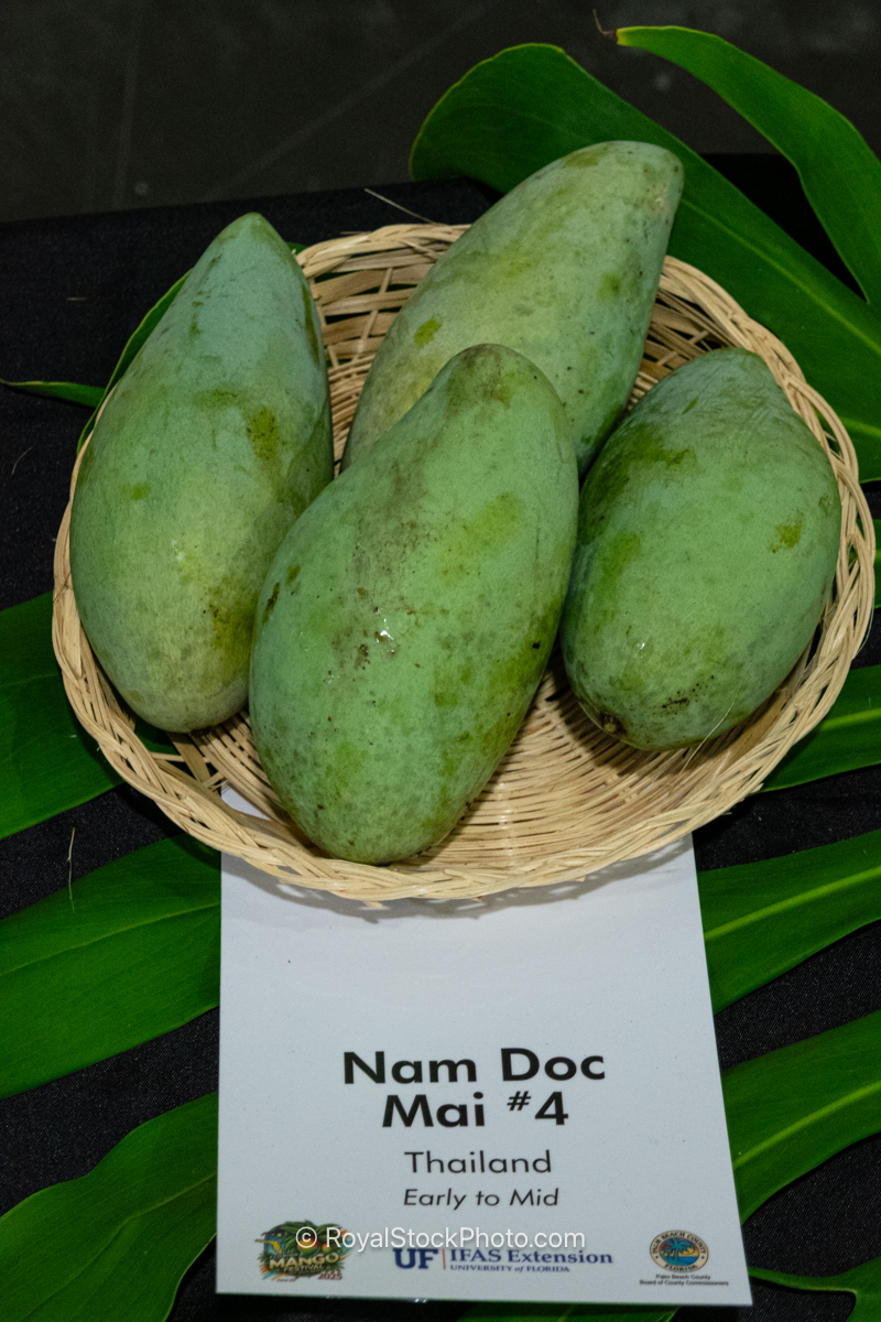 Nam Doc Mai #4 mango fruit