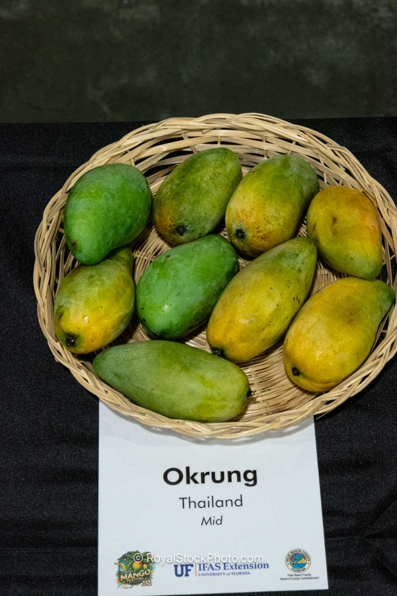 Okrung mango fruit