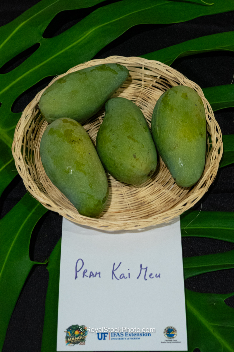 Pram Kai Meu mango fruit