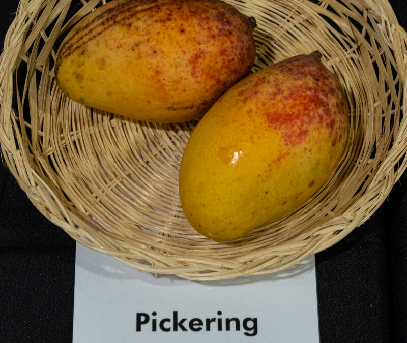Pickering