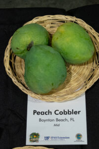 Peach Cobbler mango fruit