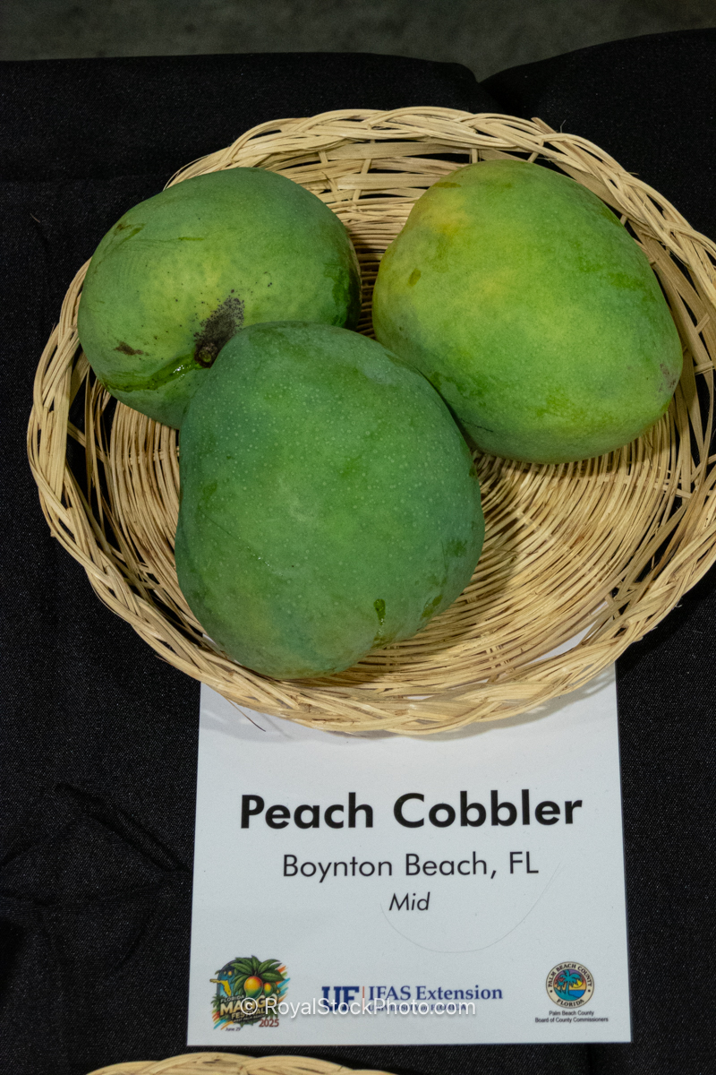 Peach Cobbler Mango Peach Cobbler mango fruit