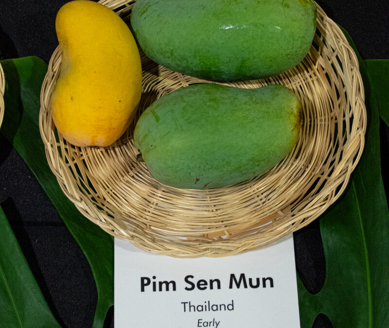 Pim Saen Mun