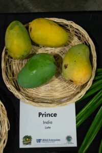 Prince mango fruit