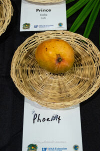 Phoenix mango fruit