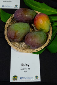 Ruby mango fruit