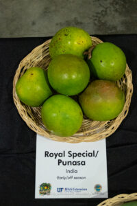 Royal Special - Punasa mango fruit