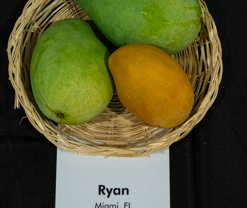 Ryan