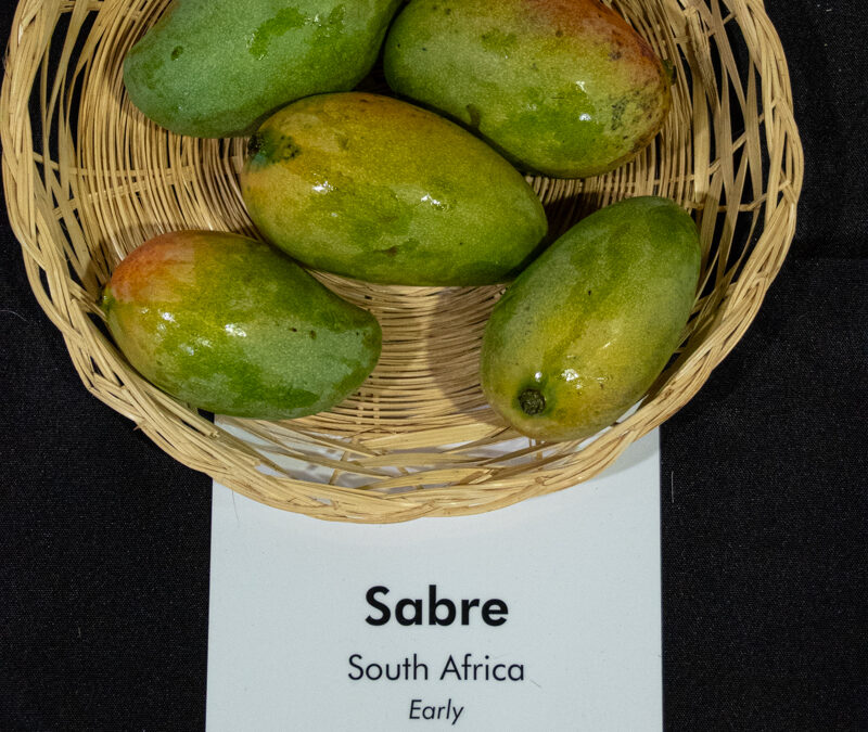 Sabre