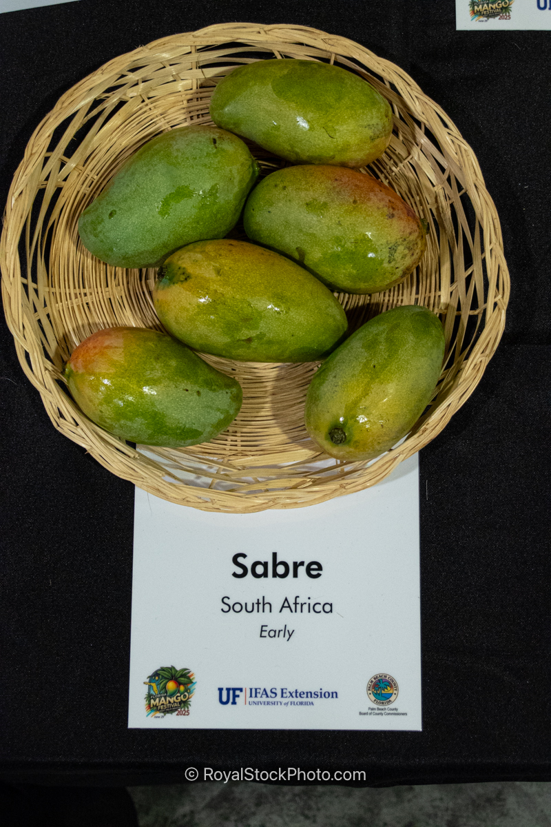 Sabre mango fruit
