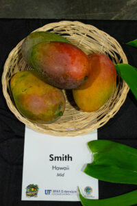 Smith mango fruit
