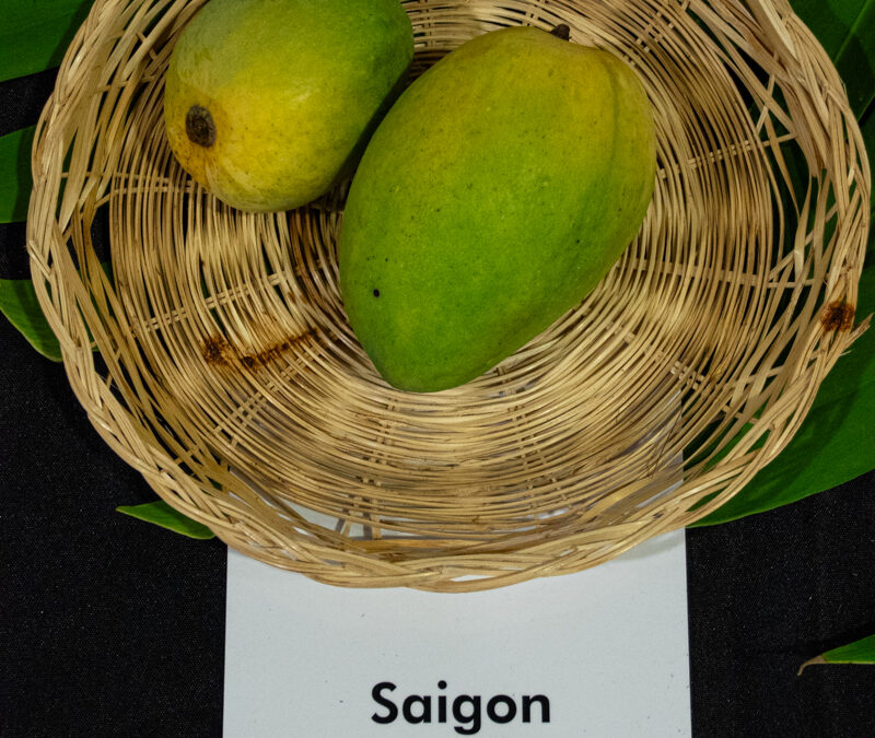 Saigon