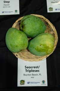 Seacrest - Triplesec mango fruit