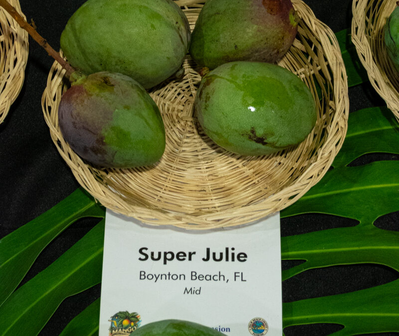 Super Julie