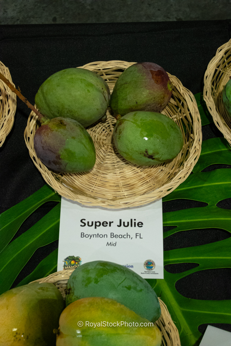 Super Julie mango fruit