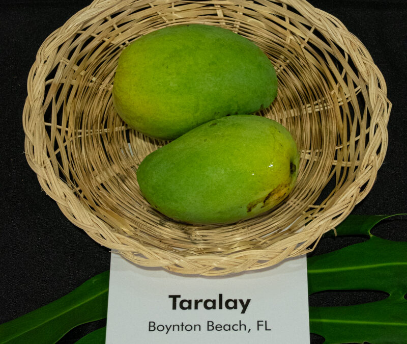 Taralay