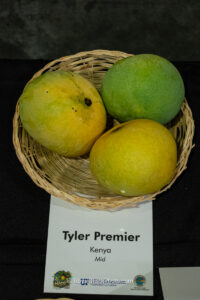 Tyler Premier mango fruit