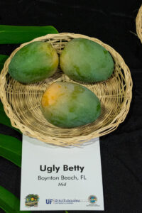Ugly Betty mango fruit