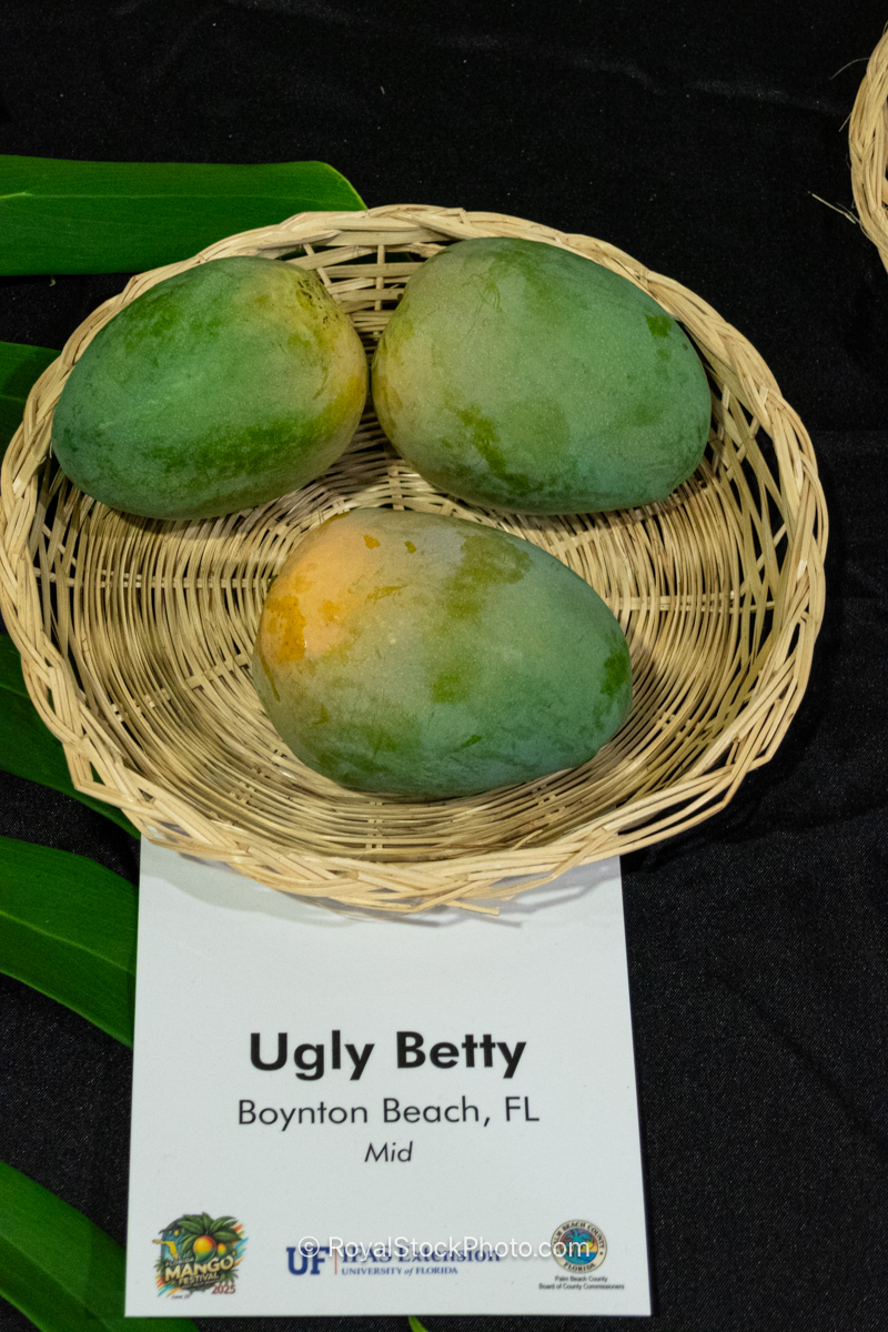 Ugly Betty mango fruit