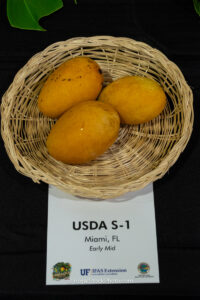 USDA S-1 mango fruit