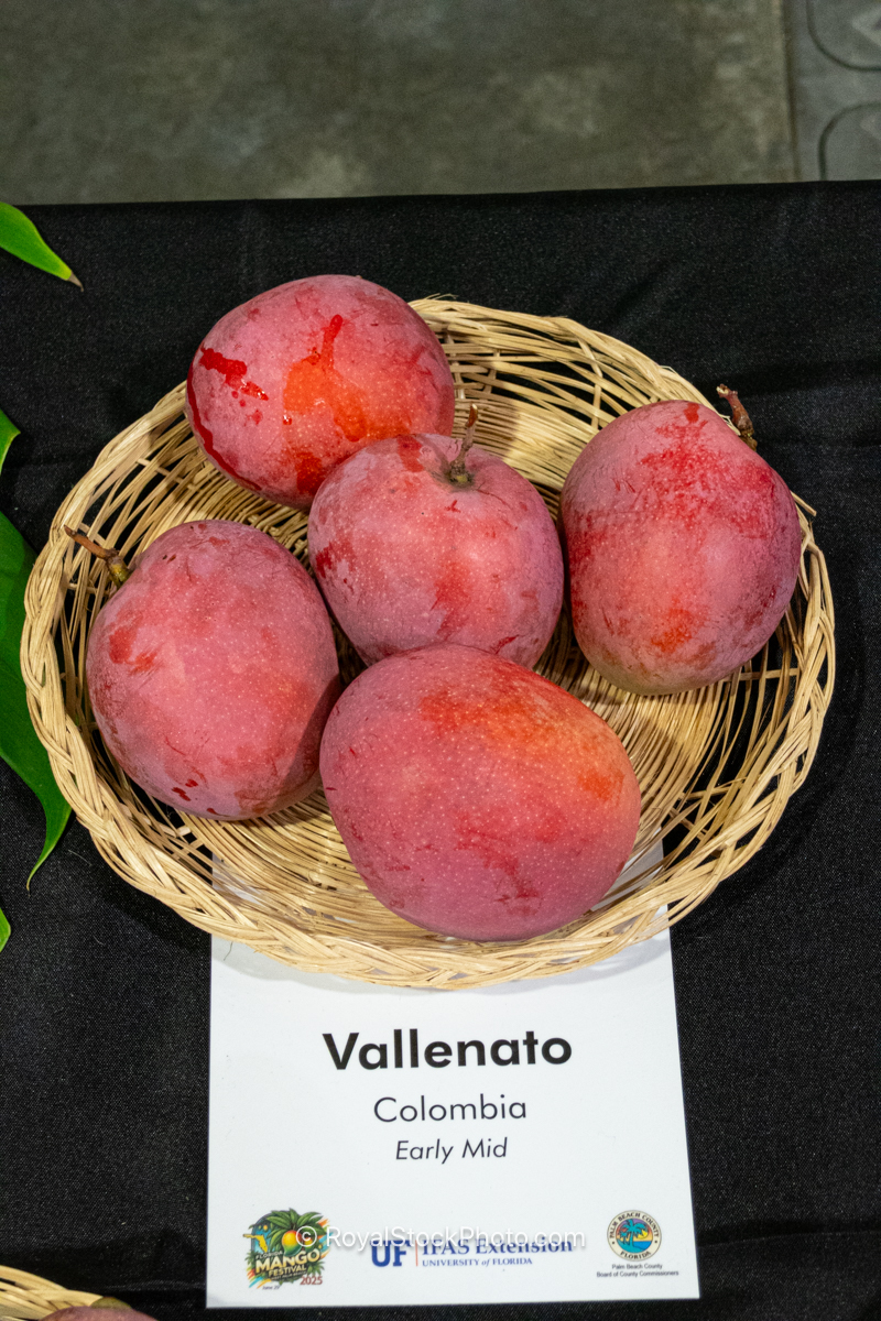 Vallenato mango fruit