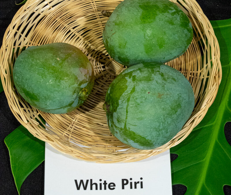 White Piri