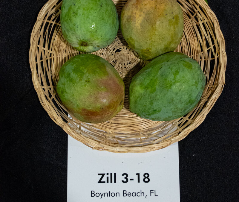 Zill 3-18