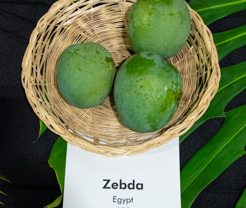 Zebda